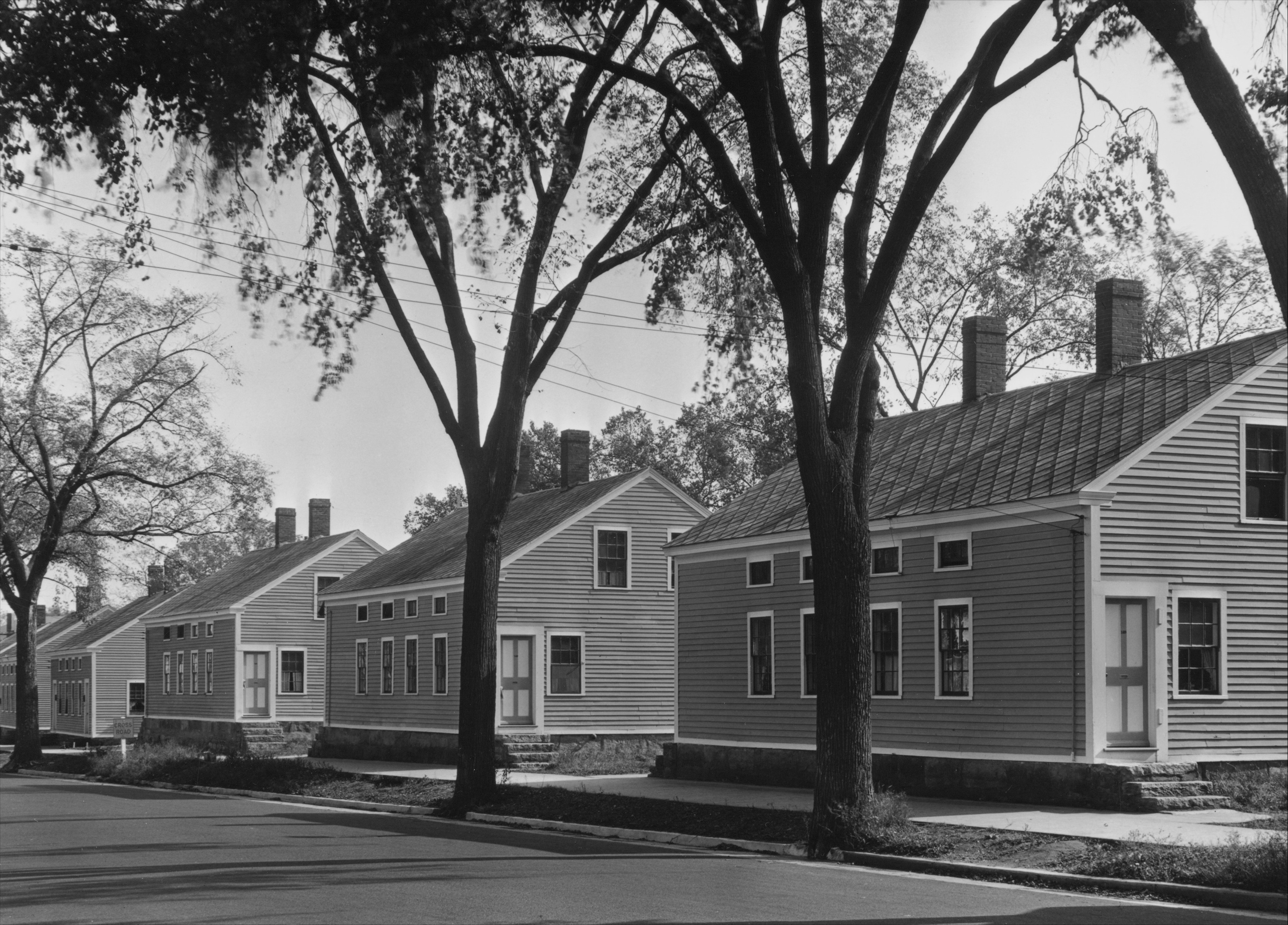 The Oaks, Quercus Avenue